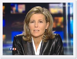 TF1 2008-02-15 20-16-05 * 768 x 576 * (149KB)